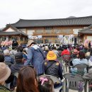 제24회 이천 백사 산수유 꽃 축제 이미지