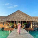 메디플스 | 몰디브 럭셔리리조트 헤리턴스아라 부대시설 리뷰 ( 스파, 헬스장,돌핀크루즈 &amp; 무료 액티비티소개)