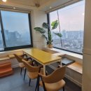 똥강아지 | 군자애견카페 똥강아지카페 내돈내산 찐단골후기