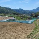 삼원로-2 이미지