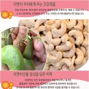 견과네