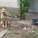 새밭민박 이미지