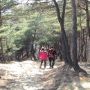 돈달산 이미지
