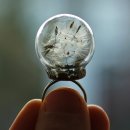 레진공예 이미지