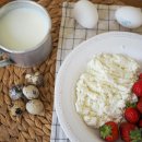 그릭요거트( Greek Yogurt)