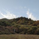 천지배농장 이미지