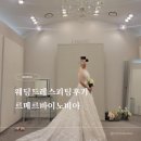 [웨딩촬영] 웨딩드레스피팅+셀렉후기 르메르바이노비아
