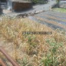 구산면530 이미지