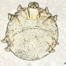 군포굿닥터동물병원 이미지