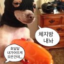 밥먹고 술먹고 이미지