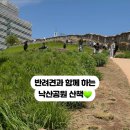 남산동물병원 | 낙산공원 뚜벅이 코스 추천 반려견 동반 산책하기 좋은 곳