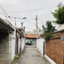 노래하는오렌지