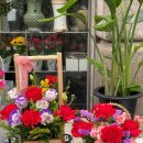 샤론  꽃  화원 이미지