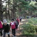 오랍드리 이미지