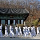 실버태권도 이미지