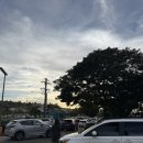 착한가게바베큐 | 괌 여행 꼭 가봐야 할 “차모르 야시장 ”매주 수요일 숯불바베큐 후기 주차 팁