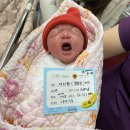 [출산일기] 응급 제왕절개 후기 및 5박 6일의 병원 기록