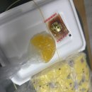 미락손만두찐빵 | 장위동 맛집 큰손 손만두 찐빵 내돈내산 추천후기