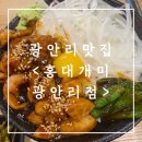 홍대개미 광안리점 | [맛집] 홍대개미 광안리점 :: 광안리 민락 특양 대창 덮밥 맛집