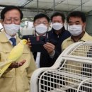 사항농장 이미지