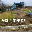 여주-0131 이미지