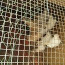 두원농장 이미지