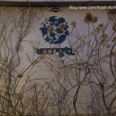 쿠키정원 | 강원도 고성 카페 바다정원 카페 + 수제 캬라멜쿠키 내돈내산 후기