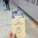 [202501] 상해&amp;해남여행 Day 1