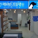 에버펫 동물병원 이미지