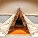 소나무세상 이미지