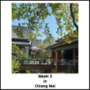 참말어린이공원 | 치앙마이 두달살이 Week3, 찡짜이마켓,원님만,캄빌리지,차다레스토랑