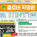에프원쇼핑여행사주 | 클로버 작명원에서 가족과 함께한 특별한 사주 & 타로 상담 후기