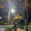 양계장집아들 이미지