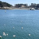 바다솔펜션민박