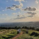 희망드림 행정사사무소 이미지