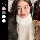 렉스 이미지