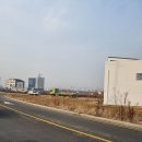 선화1리 Daum카페