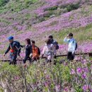 황매산군립공원 이미지