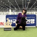 크러쉬 푸들 이미지