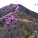 삼언 이미지