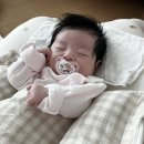 디자인누크 | 침독 없는 쪽쪽이 추천 | 빕스, 누크 쪽쪽이 후기