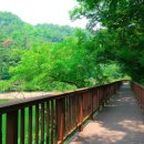 자연과사람 이미지