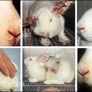 우리동물약품 이미지