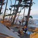 (주)하이크 | 태안 청산리오토캠핑장 오션데크2번 후기 애견동반 바다뷰 명당 사이트 네이처하이크 에리즈 베타