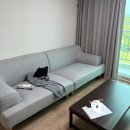 주)이랜드레저비스 켄싱턴리조트제주 | 제주도 켄싱턴리조트 한림 디럭스 아시아나 마일리지 사용방법 솔직 후기(feat.조식)