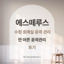 에스떼루스 | 수원 호매실 윤곽 관리 에스떼루스 호매실 후기