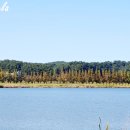 경포저류지 이미지