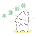 80썬팅이야기 이미지