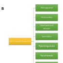 Anti-senescence compounds: A potential nutraceutical approach to healthy ag 이미지