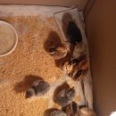 혜원민박 이미지